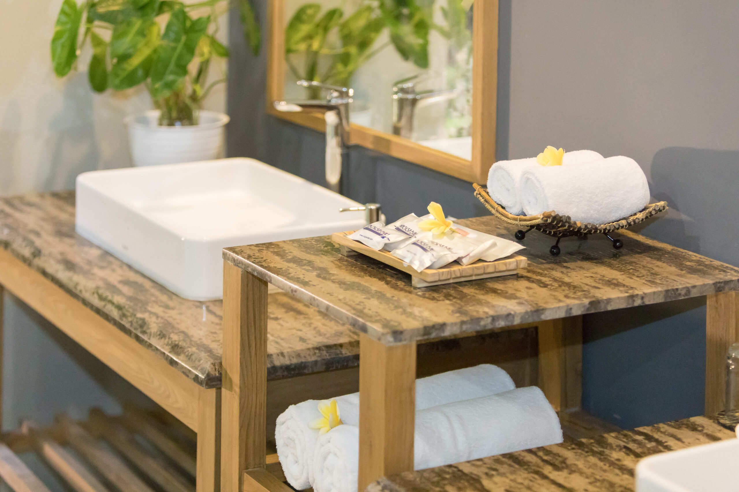 Villa Daun 1 Canggu 3 Bedroom Pool Villa by Premiere Hospitality