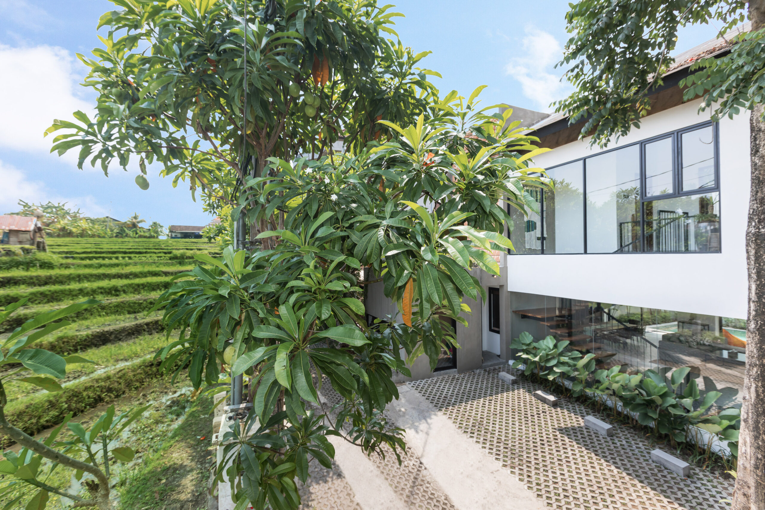 Villa Daun 3 Canggu 4 Bedroom Pool Villa by Premiere Hospitality